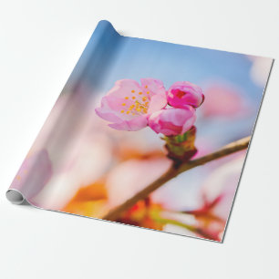 Grattis på födelsedagen till Blommarna i Sakura Ch Presentpapper