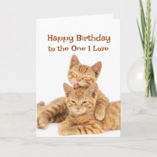 Grattis på födelsedagen till Cats i Cute Orange On Kort