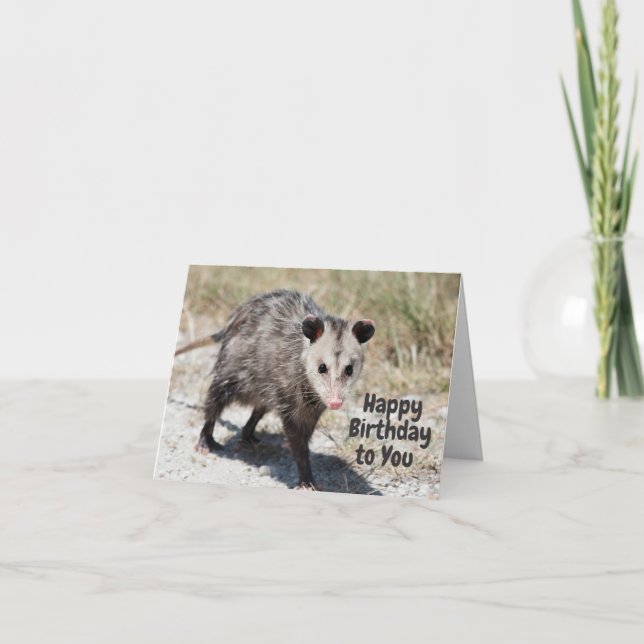 Grattis på födelsedagen till Cute Opossum Walking Kort (Framsida)