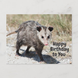 Grattis på födelsedagen till Cute Opossum Walking Vykort