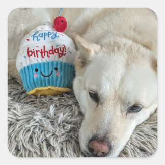 Grattis på födelsedagen till dig... fyrkantigt klistermärke