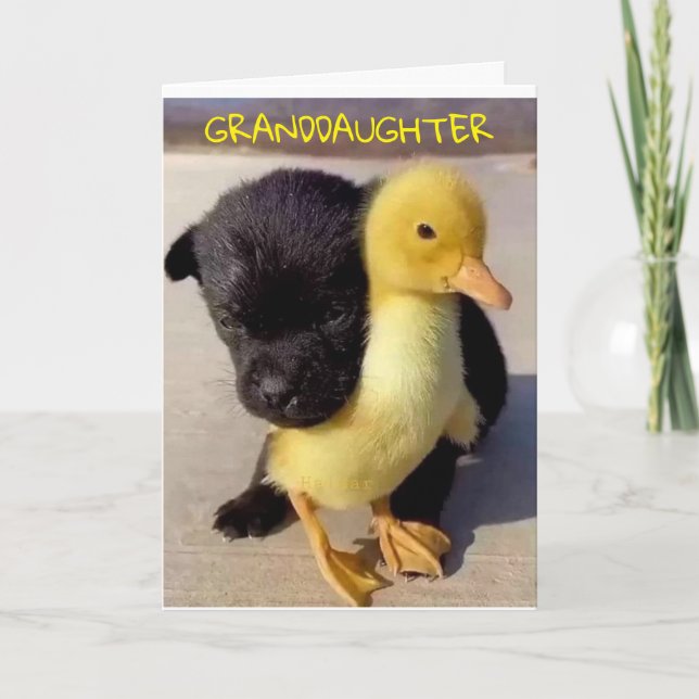 GRATTIS PÅ FÖDELSEDAGEN TILL DIG **GRANDDAUGHTER** KORT (Framsida)