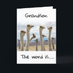GRATTIS PÅ FÖDELSEDAGEN TILL DIG **GRANDSON** KORT<br><div class="desc">GRATTIS PÅ FÖDELSEDAGEN ***GRANDSON*** TACK FÖR ATT JAG STOPPAT ETT AV MINA ÅTTA LAGER!</div>