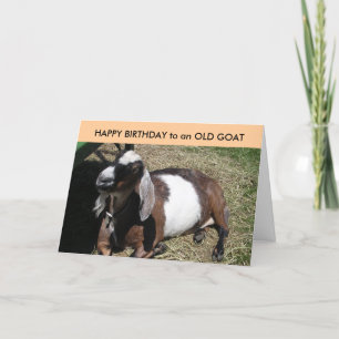 GRATTIS PÅ FÖDELSEDAGEN till ett GAMAT Kort