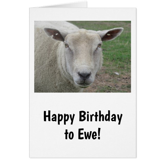 Grattis på födelsedagen till Ewe-kort Hälsningskort (Framsidan)