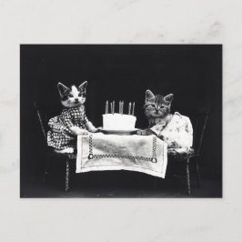 Grattis på födelsedagen till Meow | Kattunge med k Vykort