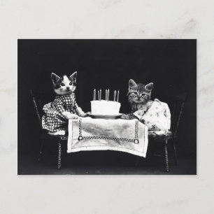 Grattis på födelsedagen till Meow Kattunge med k Vykort