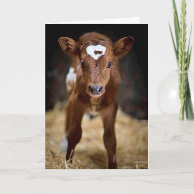 "GRATTIS PÅ FÖDELSEDAGEN" till min **BRODER** Kort (Framsida)