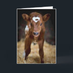 "GRATTIS PÅ FÖDELSEDAGEN" TILL min **BROTHER** Kort<br><div class="desc">TACK FÖR ATT DU STOPPADE MED ETT AV MINA ÅTTA LAGER!</div>