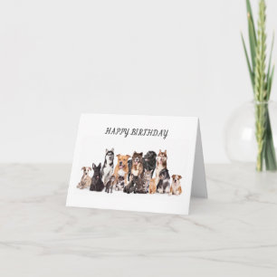 **GRATTIS PÅ FÖDELSEDAGEN TILL MIN FAVORITVETERINÄ KORT