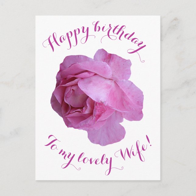 Grattis på födelsedagen till min fru söt rosa ros  vykort (Framsida)