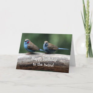 Grattis på födelsedagen till twillingar! kort