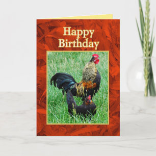 Grattis på födelsedagen Tupp och Hen Red Feathers Kort