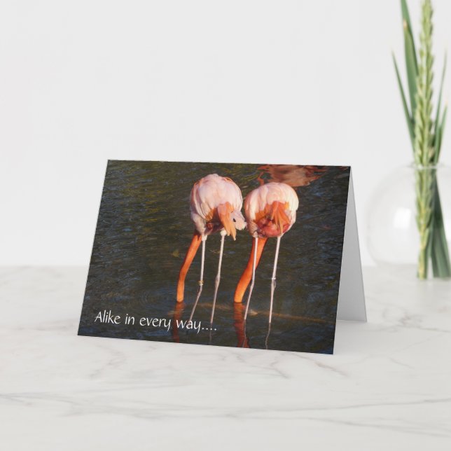 Grattis på födelsedagen Twillingar!-Rosa Flamingos Kort (Framsida)