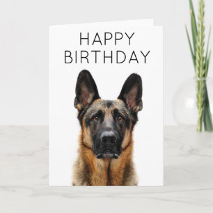 Grattis på födelsedagen Tysk Schäferhund Kort