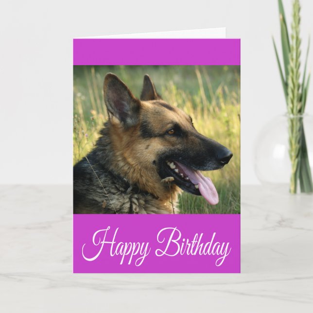 Grattis på födelsedagen tyskt Hund-kort för shephe Kort (Framsida)