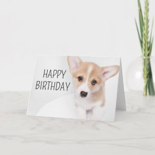 Grattis på födelsedagen Ung Corgi-valp Kort