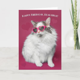 Grattis på födelsedagen Vackert Cute Cat i solglas Helgkort