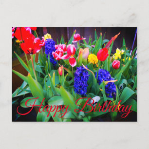 Grattis på födelsedagen Vår blommor #3-vykort Vykort