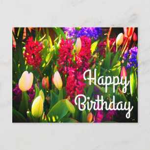 Grattis på födelsedagen Vår blommor #5-vykort Vykort