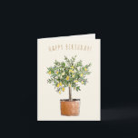 Grattis på födelsedagen Vattenfärg Lemon Tree Kort<br><div class="desc">Denna söta design är handmålad med vattenfärg som mitt medium. Skapa ett mer personligt kort genom att använda redigeringsverktyget och lägg till ett namn eller ändra texten.</div>