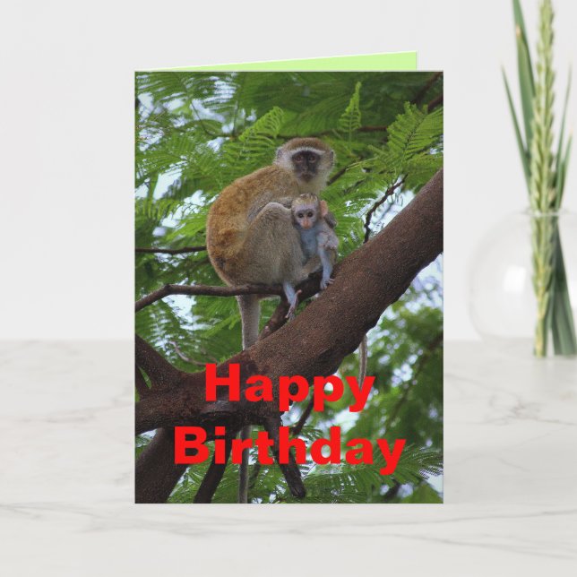 Grattis på födelsedagen Vervet Monkey Mor och Chil Kort (Framsida)