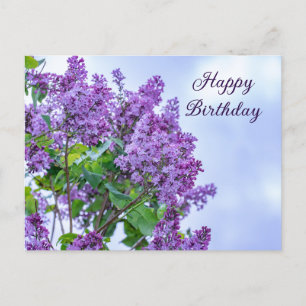 Grattis på födelsedagen Vibrant Lila Lilac Flowers Vykort