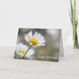 Grattis på födelsedagen Vild Daisy Kort