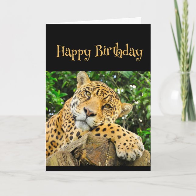 Grattis på födelsedagen Vild Sak Leopard Animal Ro Kort (Framsida)