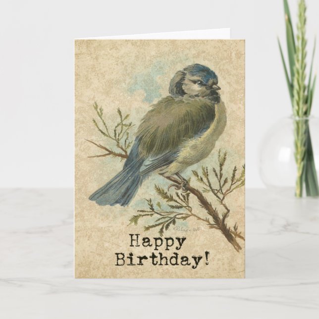 Grattis på födelsedagen, Vintage Bluetit Bird Kort (Framsida)