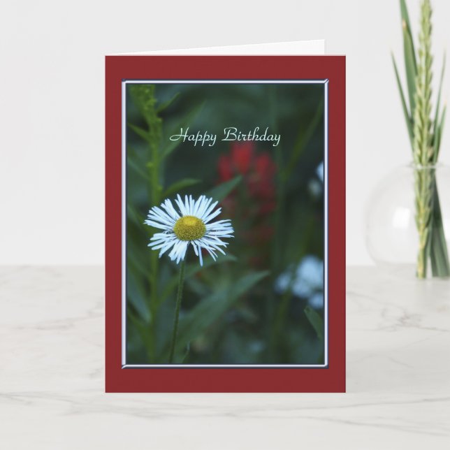 Grattis på födelsedagen, vit Daisy, Grönt med Röda Kort (Framsida)