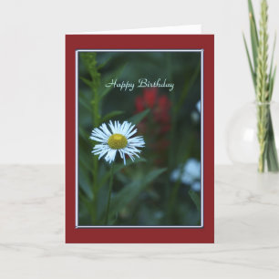 Grattis på födelsedagen, vit Daisy, Grönt med Röda Kort