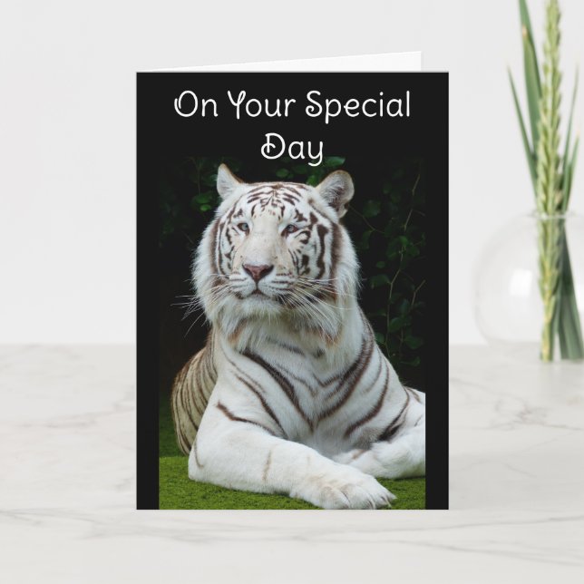 Grattis på födelsedagen Vit Tiger Grattiskort Kort (Framsida)