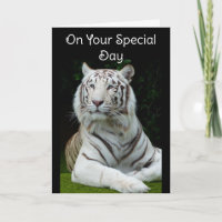 Grattis på födelsedagen Vit Tiger Grattiskort