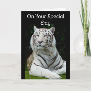 Grattis på födelsedagen Vit Tiger Grattiskort Kort