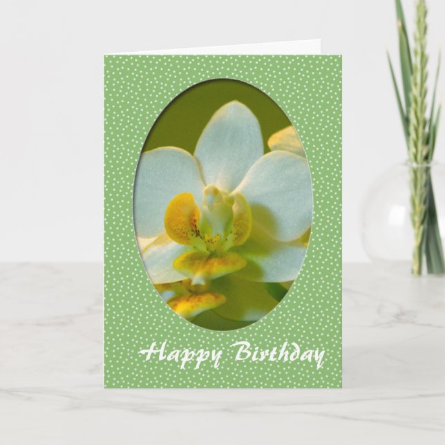 Grattis på födelsedagen, vita blommor i grönt fram kort (Framsida)