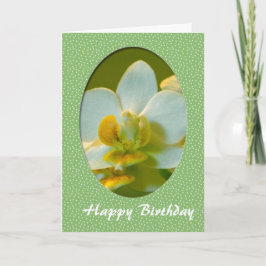 Grattis på födelsedagen, vita blommor i grönt fram kort