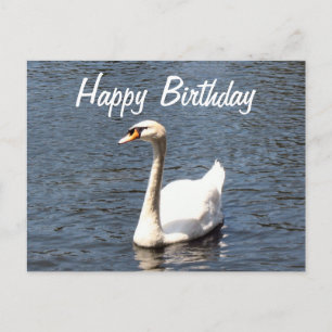 Grattis på födelsedagen, vita svan vykort
