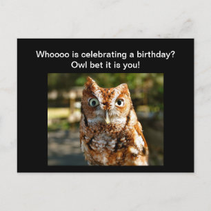 Grattis på födelsedagen vycard Östra Screech Uggla Vykort