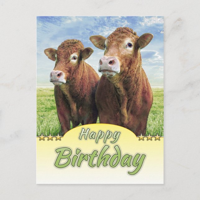 grattis på födelsedagen vykort (Framsida)