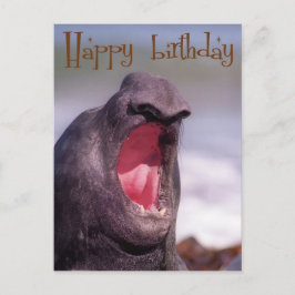 grattis på födelsedagen vykort