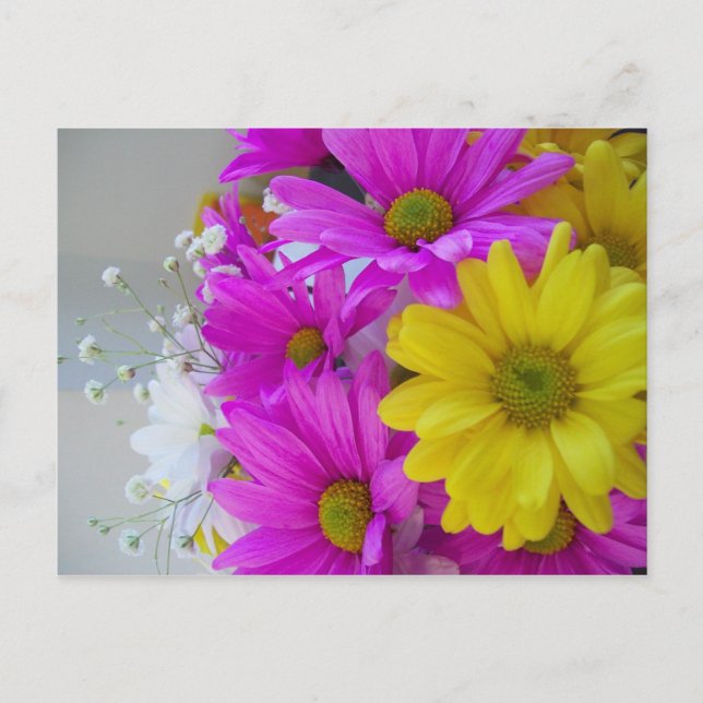 Grattis på födelsedagen! vykort (Framsida)