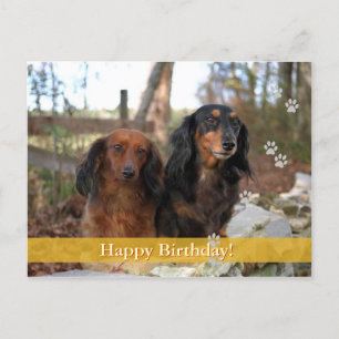 Grattis på födelsedagen! - vykort för hund