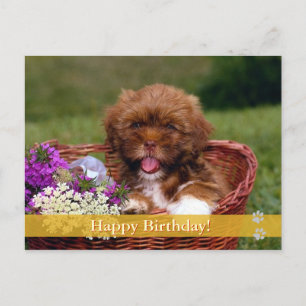 Grattis på födelsedagen! - vykort för hund