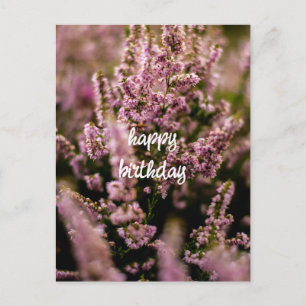 Grattis på födelsedagen vykort Heather blommor fot