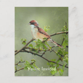 Grattis på födelsedagen Watercolor WhiteHals Bird- Inbjudningar
