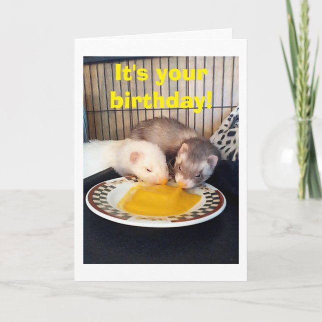 GRATTIS PÅ FÖDELSEDAGEN-WE-HAR SOM OMFATTADES AV V KORT (Framsida)