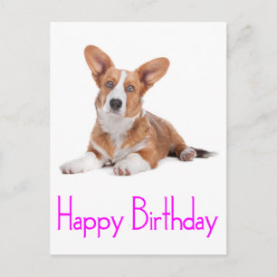 Grattis på födelsedagen Welsh Corgi Valp Hund Post Vykort