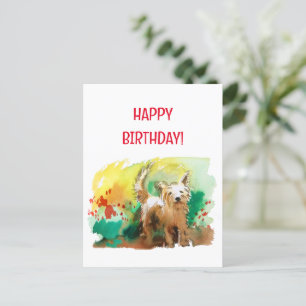 Grattis på födelsedagen! West highland terrier! Vykort