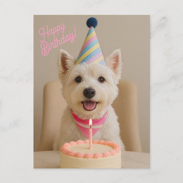 Grattis på födelsedagen Westie Birthday Card Vykort (Framsida)